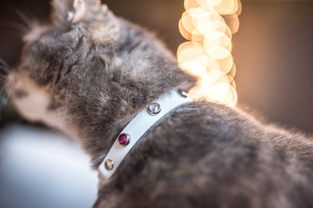Close-up of Lucy in the Sky Collar with various crystal colors