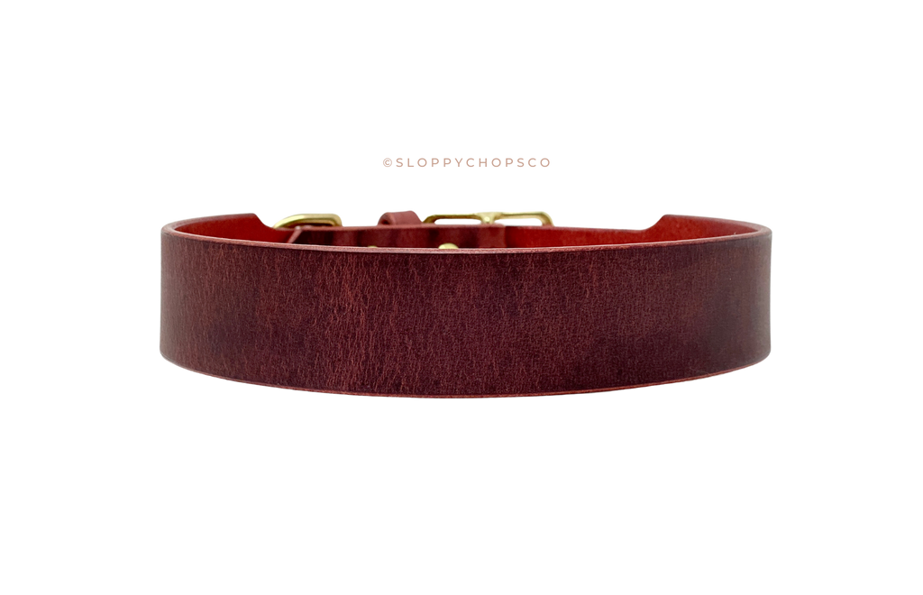 Classic Leather Buckle Collar