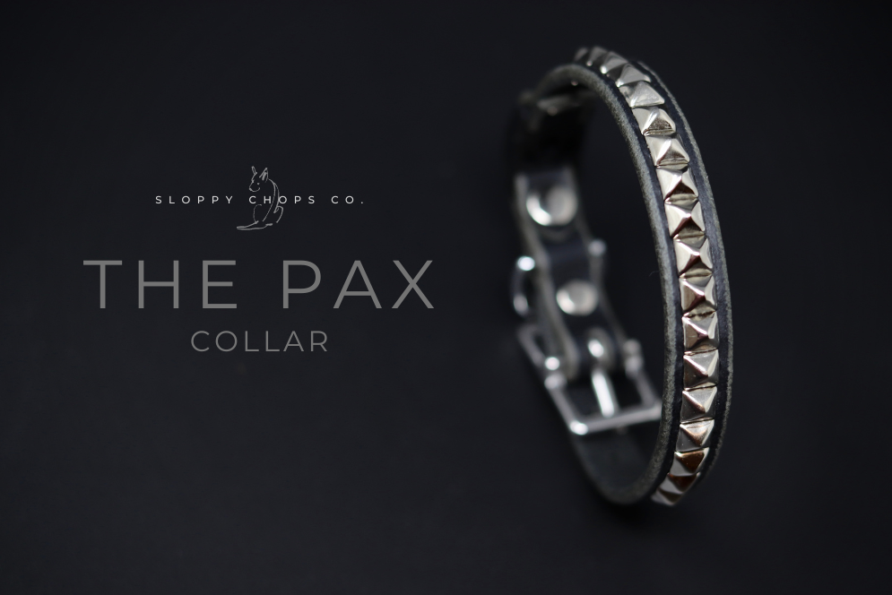The 'Pax' Leather Cat Collar