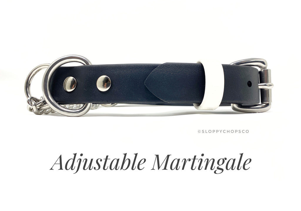 Adjustable Martingale Collar