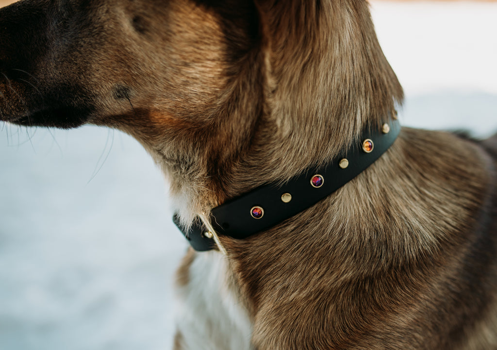 The 'Lucy in the Sky' Collar